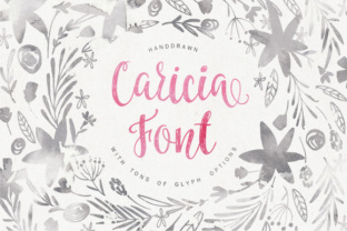 Caricia Font Review: A Web Designer’s Perspective