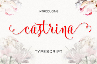 Castrina Font Review: Elevating Campaign Visuals