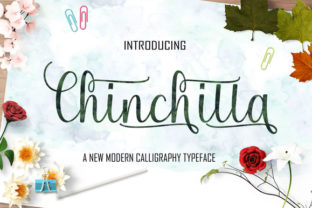 Chinchilla: A Premium Script Font for Editorial Design