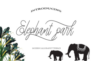 Elephant Park: A Modern Script Font for Branding