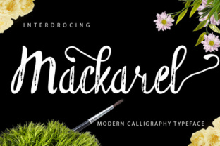 Mackarel Font: Elevating Web Typography with Script Amp