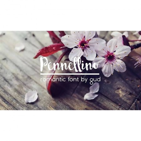 Pennellino: The Brush Typeface That Elevates Small Business Branding