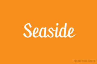 Seaside: A Graceful Script Typeface for Editorial Design